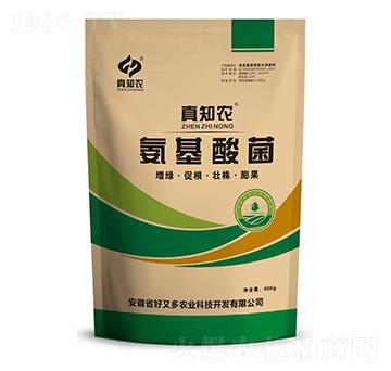 �������-��֪�r(n��ng)-���ֶ��r(n��ng)�I(y��)