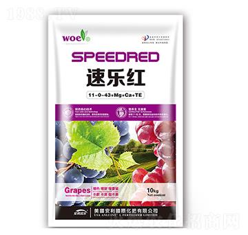 �٘��t11-0-43+