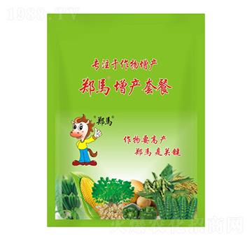 鄭馬增產(chǎn)套餐-千里馬農業(yè)