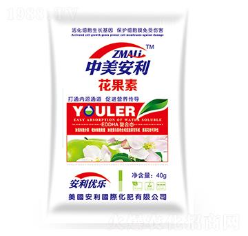 ������-��������-�֠�