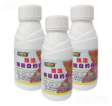 辣椒日灼病-禾潤(rùn)肥業(yè)