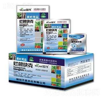 �������-�f(w��n)Ȫ�r(n��ng)��