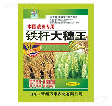 �F�U������-�fȪ�r(n��ng)��