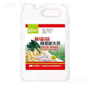 �[������o����`-嫘���