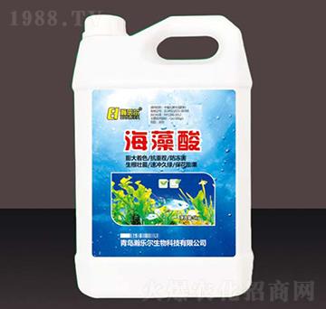 ������-嫘���