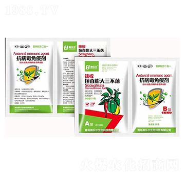 辣椒拉直膨大三不落+抗病毒免疫劑-瀚樂爾