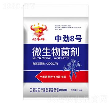 中勁8號(hào)微生物菌劑-勁牛