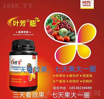 膨果專用-葉芳膨-浩陽生物