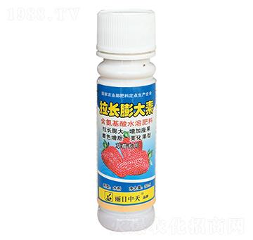 草莓專(zhuān)用含氨基酸水溶肥料-拉長(zhǎng)膨大素-中天肥業(yè)