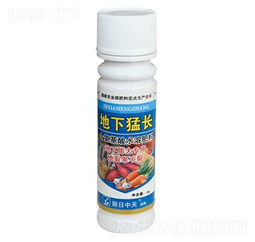 地下膨大專用含氨基酸水溶肥料-地下猛長-中天肥業(yè)