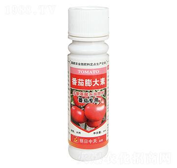 番茄專用含氨基酸水溶肥料-番茄膨大素-中天肥業(yè)