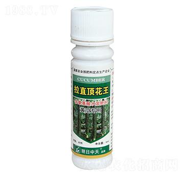 黃瓜專用含氨基酸水溶肥料-拉直頂花王-中天肥業(yè)