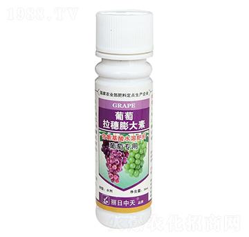 葡萄拉惠膨大素-中天肥業(yè)