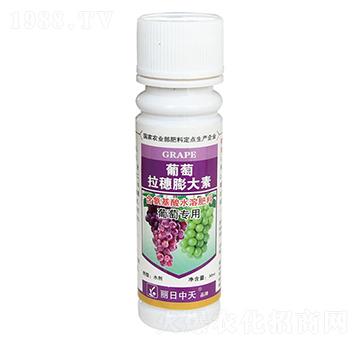 葡萄拉穗膨大素-中天肥業(yè)