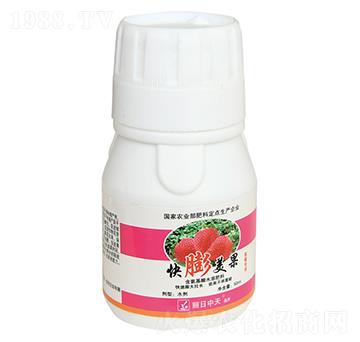 ��������-����ʘI(y��)