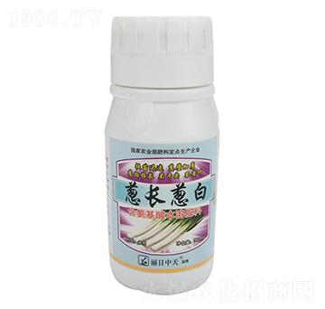 �[�L�[��-����ʘI(y��)