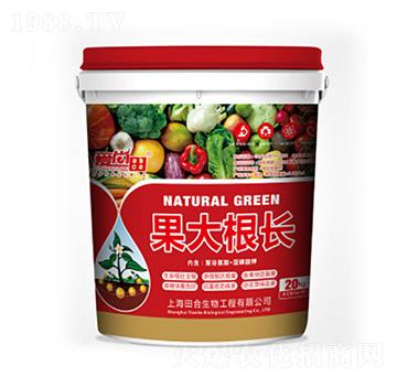 果大根長-田合生物