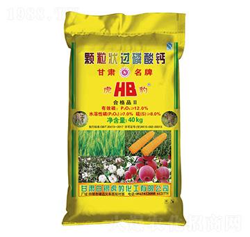 �w�����^(gu��)�����}-���y����