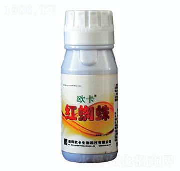 �t֩��-�W������