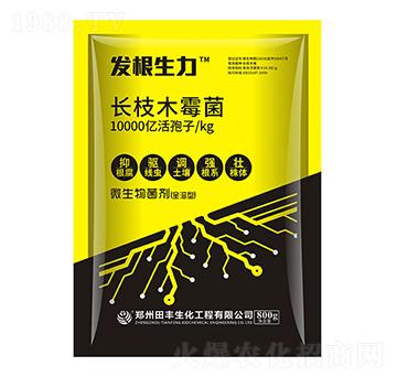 長枝木霉菌-發(fā)根生力-聚無霸
