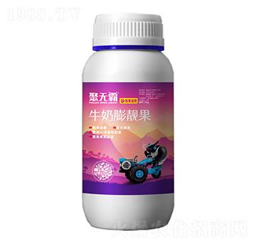 牛奶膨靚果-聚無霸