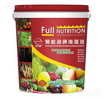 20kgG-CONTON·聚能勁鉀海藻液肥-洛芬堡-華佰晟