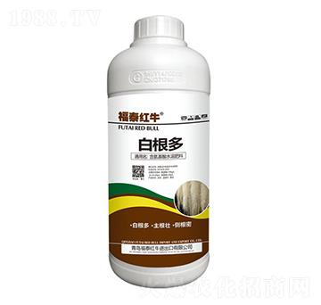 白根多-福泰紅牛