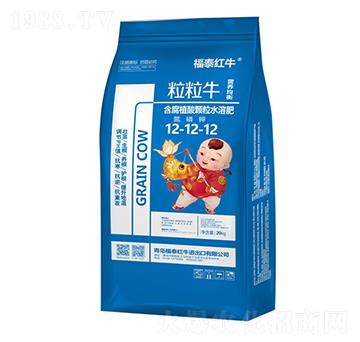 粒粒牛含腐殖酸顆粒水溶肥12-12-12-福泰紅牛