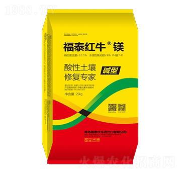 ���������ޏ�(f��)����-��̩�t�����V