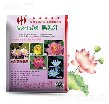 黑乳汁高濃縮水生花卉營養(yǎng)液-苗必壯