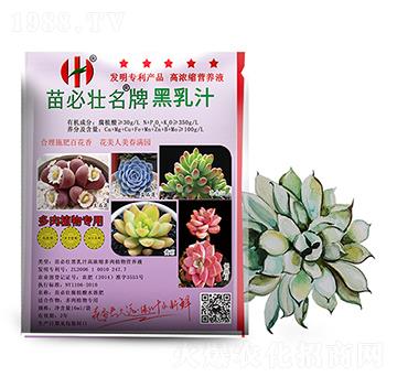 黑乳汁高濃縮多肉植物營養(yǎng)液-苗必壯