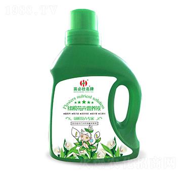 ������ܠI�B(y��ng)Һ-��؉�