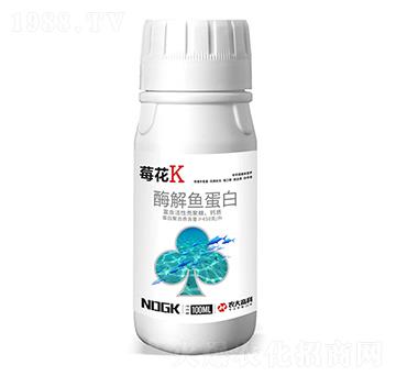 酶解魚蛋白-莓花K-卡列尼