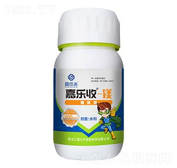 �Ǵ��V-�Θ�(l��)��-���˺�