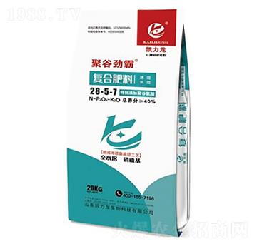 �ͺϷ���28-5-7-�۹ȄŰ�-�P����