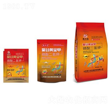 �۹��S���(�j�ϑB(t��i))-�P����