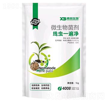 ΢�������-���xһ���-�ذ�����