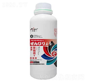 �������΢+-��ɏ-��(gu��)�r(n��ng)��