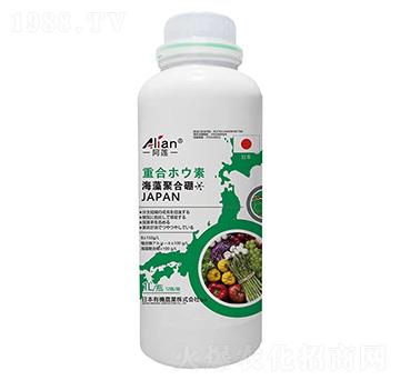 ����ۺ���-��ɏ-��(gu��)�r(n��ng)��