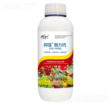 �����}-��ɏ-��(gu��)�r(n��ng)��