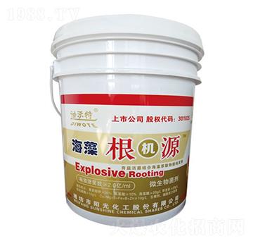 ������C(j��)Դ-������-�(y��ng)�⻯��