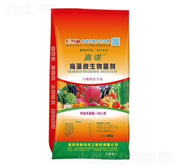 ����΢�������-���Z-