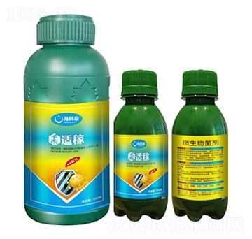 ���������Ⱥ-���m��-������