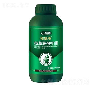 �ݲ�ѿ�ߗU��-�s���f-������