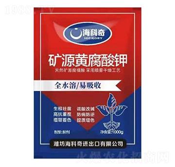 �VԴ�S�����-������