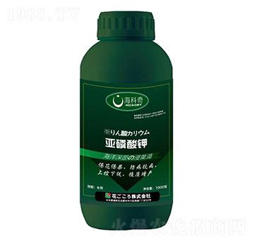 �������-������