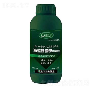 ��������-������