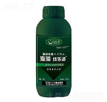 海藻線樂適-?？破? width=