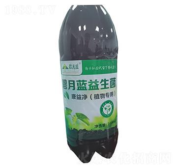 �������ֲ�(zhu��n)�ã�-�����{(l��n)����