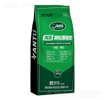 �����w�����ܷ�-������